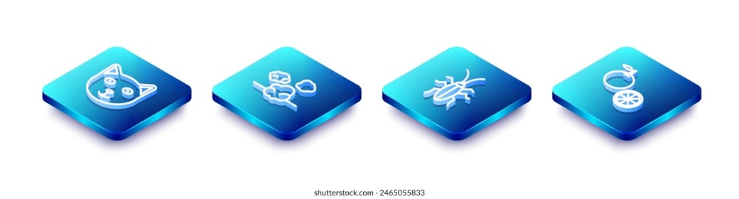 Set Isometric line Pet, Dust, Cockroach and Orange fruit icon. Vector