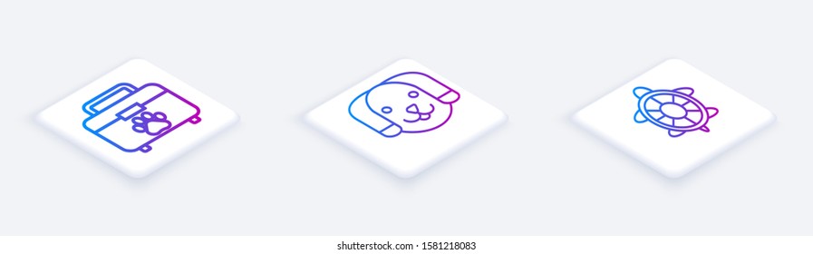 Set Isometric line Pet first aid kit, Dog and Turtle. White square button. Vector