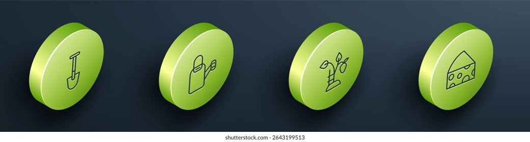 Set Isometric line Shovel, Watering can, Strawberry bush and Cheese icon. Vector