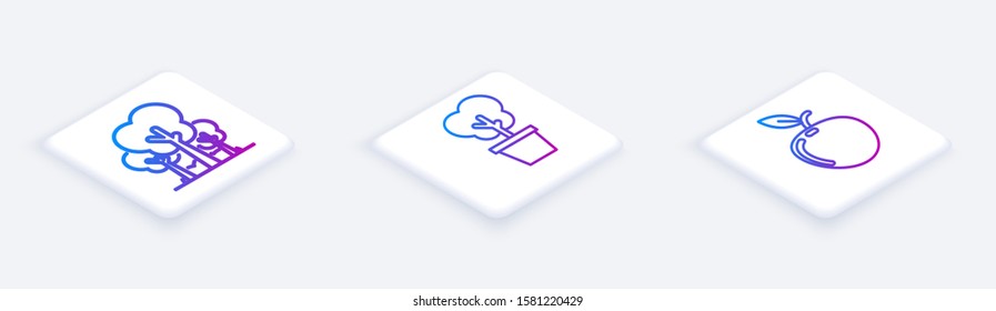 Set Isometric line Trees, Tree in pot and Apple. White square button. Vector