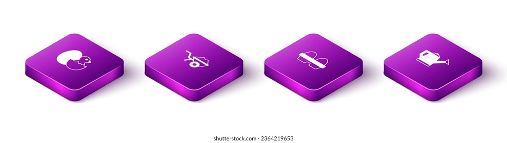 Set Isometric Little chick in cracked egg, Wheelbarrow with dirt, Chicken box and Watering can icon. Vector