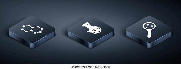 Set Isometric Molecule, Microorganisms under magnifier and Test tube and flask chemical icon. Vector