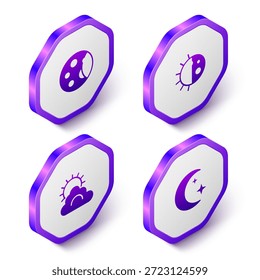Fije las fases isométricas de la luna, el ciclo de la noche del día, el Clima del sol y de la nube y el icono de las estrellas. Botón hexagonal púrpura. Vector