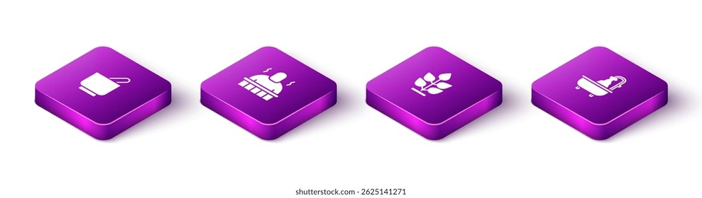 Set Isometric Mortar and pestle, Sauna spa procedures, Plant and Bathtub icon. Vector
