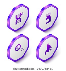 Setzen Sie das Symbol für die Gesundheit des menschlichen Magens auf "Kein GVO, Vitamine und Mensch". Violett-Hexagon-Taste. Vektorgrafik
