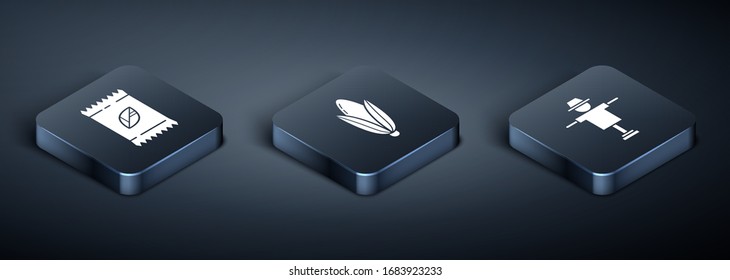 Set Isometric A pack full of seeds of a specific plant, Scarecrow and Corn icon. Vector