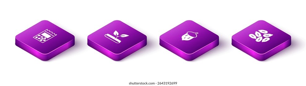 Set Isometric Pack full of seeds of plant, Sprout, Acorn, oak nut, and Seed icon. Vector