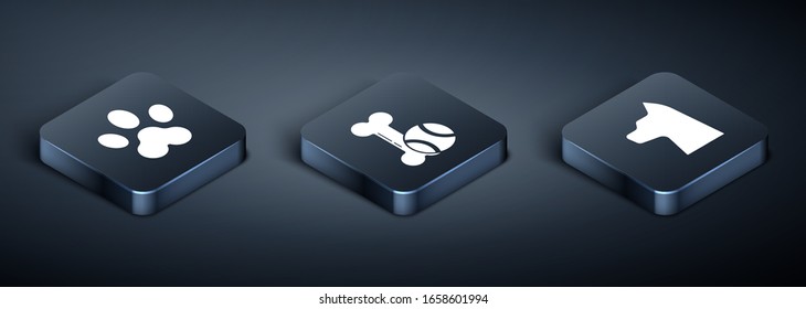 Set Isometric Paw print, Cat and Pet toys bone rubber and ball icon. Vector