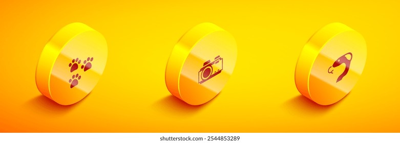 Set Isometric Paw print, Photo camera and Snake icon. Vector