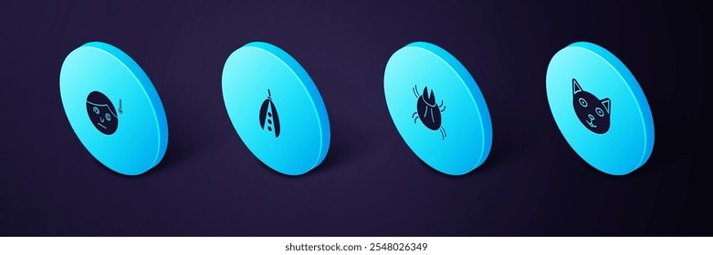 Conjunto de mascotas isométricas, ácaros parásitos, frijoles renales e icono de alta temperatura corporal humana. Vector