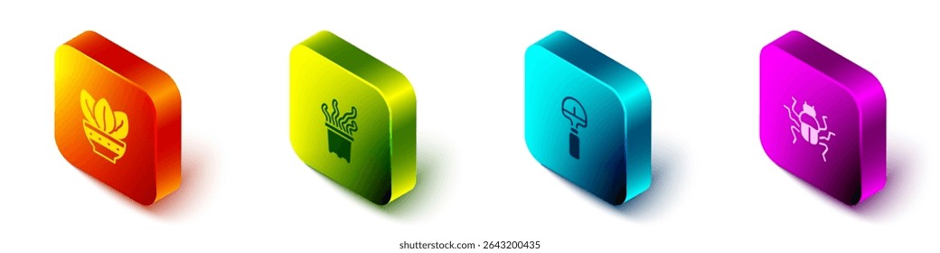 Set Isometric Plant in pot, Exotic tropical plant, Shovel and Beetle bug icon. Vector
