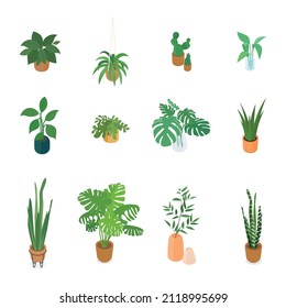 Set of isometric potted plant. Vector collection. Illustration in flat design. 