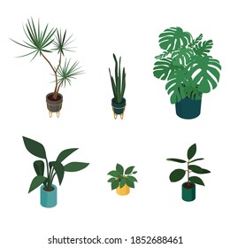 Set Of Isometric Potted Plants. Vector Collection. Illustration In Flat Design.