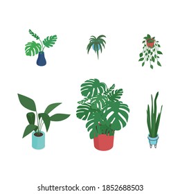 Set Of Isometric Potted Plants. Vector Collection. Illustration In Flat Design.