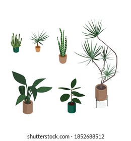 Set of isometric potted plants. Vector collection. Illustration in flat design.