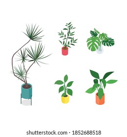 Set Of Isometric Potted Plants. Vector Collection. Illustration In Flat Design.