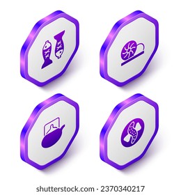 Isometrische Served Fisch auf einen Teller, Xiao lange Bao, traditionelle Teezeremonie und Gurkensymbol setzen. Violett-Hexagon-Taste. Vektorgrafik