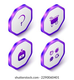Set Isometric Sickle, Wheelbarrow, Pack lleno de semillas y el icono del escarabajo de Colorado. Botón hexágono púrpura. Vector