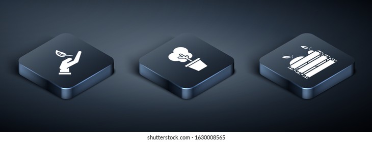 Set Isometric Sprout in hand of environmental protection, Wooden box for fruits and vegetables and Tree in pot icon. Vector