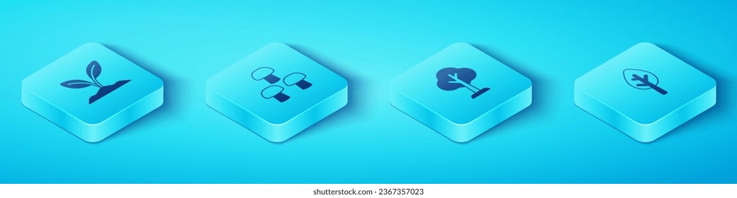 Set Isometric Sprout, Mushroom, Forest and  icon. Vector