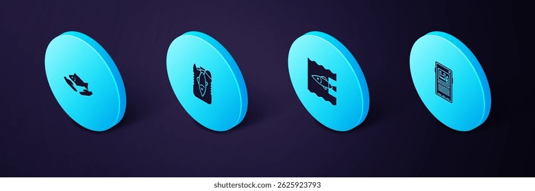 Set Isometric Stop plastic pollution, ocean,  and Fish care icon. Vector