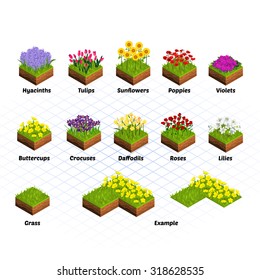 Set of Isometric Tiles Flowers Include Hyacinths, Tulips, Sunflowers, Poppies, Violets, Buttercups, Crocuses, Daffodils, Roses, Lilies, and Grass