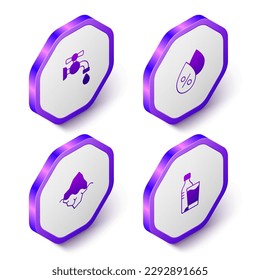 Set Isometric Water tap, drop percentage, Iceberg and Bottle of water with glass icon. Purple hexagon button. Vector