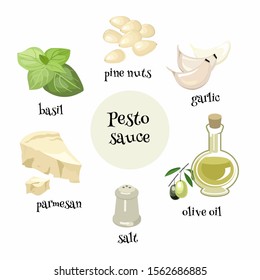 Set of Italian Pesto sauce ingredients. Pine nuts, garlic, basil, olive oil,parmesan and salt for preparation of traditional sauce. Cartoon illustration.