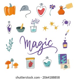 A set of items for the day of the celebration of all saints. lettering "Magic". Lizard potion concept. Pumpkin mouse various vessels with liquids. Vector isolated illustration on white background.