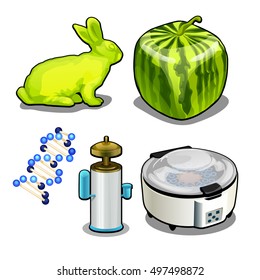 The set of items on the topic of genetic laboratory isolated on white background. Vector illustration.