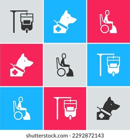 Set IV bag, Guide dog and Woman in wheelchair icon. Vector