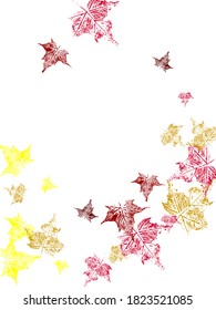 set of ivy branch. vector eps10 illustration. brunches of ivy