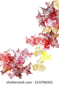 set of ivy branch. vector eps10 illustration. white paper sheet decorated hanging ivy