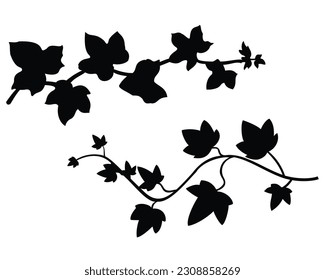 Set of Ivy Branches Silhouette, Leaf Silhouette, Branches Silhouette