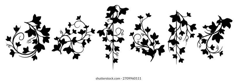 set of ivy DFM vector illustration