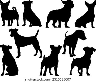 Set of Jack Russel Terrier Dogs Silhouette