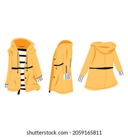 set of jacket from different sides. Vector cartoon illustration. Winter. Autumn. clothing. Color