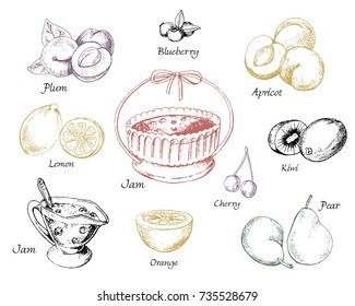 Set of jam, berries and fruits in vector