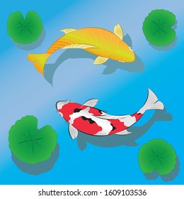 Set of Japan colored carp fish or japanese Koi fish swimming in pond drawing in vector