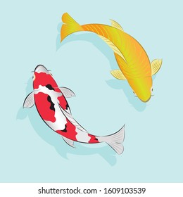 Set of Japan colored carp fish or japanese Koi fish swimming in pond drawing in vector