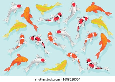 Set of Japan colored carp fish or japanese Koi fish swimming in pond drawing in vector