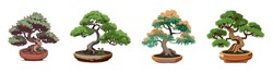 Set Of Japanese Bonsai Trees Grown In Containers. Beautiful Realistic Tree. Bonsai Style Tree. Bonsai Tree On Red Box. Decorative Vector Illustration Of A Small Tree. Nature Art