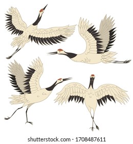 Set of Japanese crane birds isolated on a white background. Vector graphics.