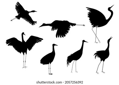 Set of japanese crane in black color. Silhouette. 