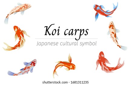 Conjunto de peces decorativos japoneses. Ilustración vectorial de carpas koi sobre fondo blanco en un estilo plano para tarjetas, carteles, saludos.