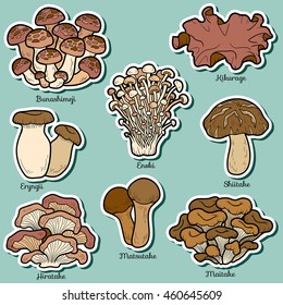 Set of japanese mushrooms, color stickers with different fungi