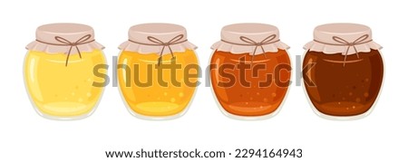 Set of jars with different honey. Vector cartoon flat illustration of natural sweets.