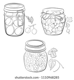  set of jars with fruit, berries, jam, compote. Canned homemade fruit. Hand drawing,  lineart, in sketch style. plum, gooseberries, grapes