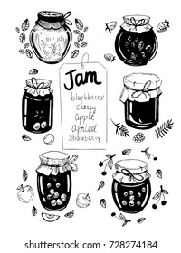 Set of jars with jam. Hand drawn illustration converted to vector