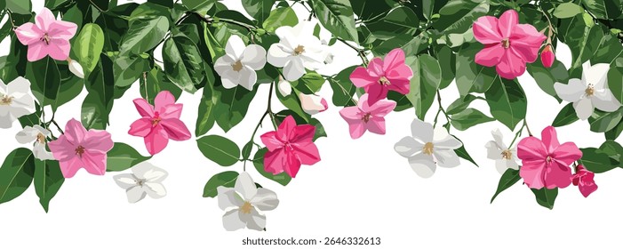 Conjunto de Jasminum sambac, Catharanthus roseus floração frontal, isolado, recorte, árvore, plantas tropicais, flores de jardim, flores exóticas, ilustração vetorial.
